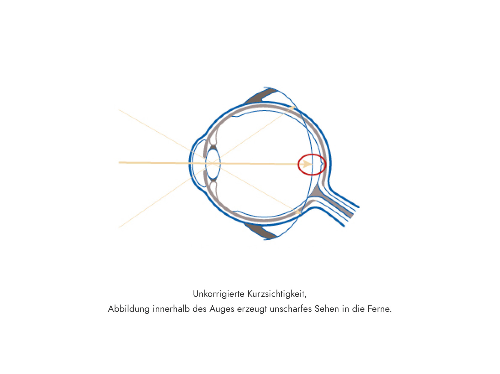 MiYOSMART Illustrationen 3
